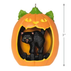 Hallmark Happy Halloween! Ornament -Optimal Home Decoration Black Cat Pumpkin Diorama Keepsake Ornament 1799QFO5311 03