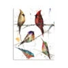 Demdaco Birds 120-Piece Puzzle