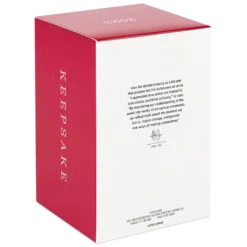 Hallmark Disney Peter Pan's Flight Off To Never Land! Ornament -Optimal Home Decoration Mickey Peter Pan Pirate Ship Keepsake Ornament 2199QXD6569 05