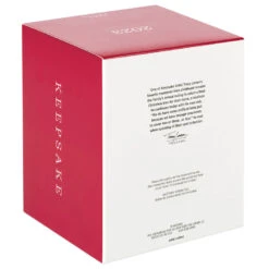 Hallmark The Peanuts® Gang Christmastime Is Here Musical Ornament With Motion -Optimal Home Decoration Peanuts Gang Ice Skating Keepsake Ornament 3999QXI7037 05