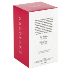 Hallmark The Peanuts® Gang Windward Woodstock Ornament -Optimal Home Decoration Peanuts Woodstock Sailing Keepsake Ornament 1999QXI7057 05