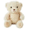 Hallmark Be There When You Can’t Recordable Bear Stuffed Animal, 10” -Optimal Home Decoration Recordable White Teddy Bear Stuffed Animal 1PSB2189 01